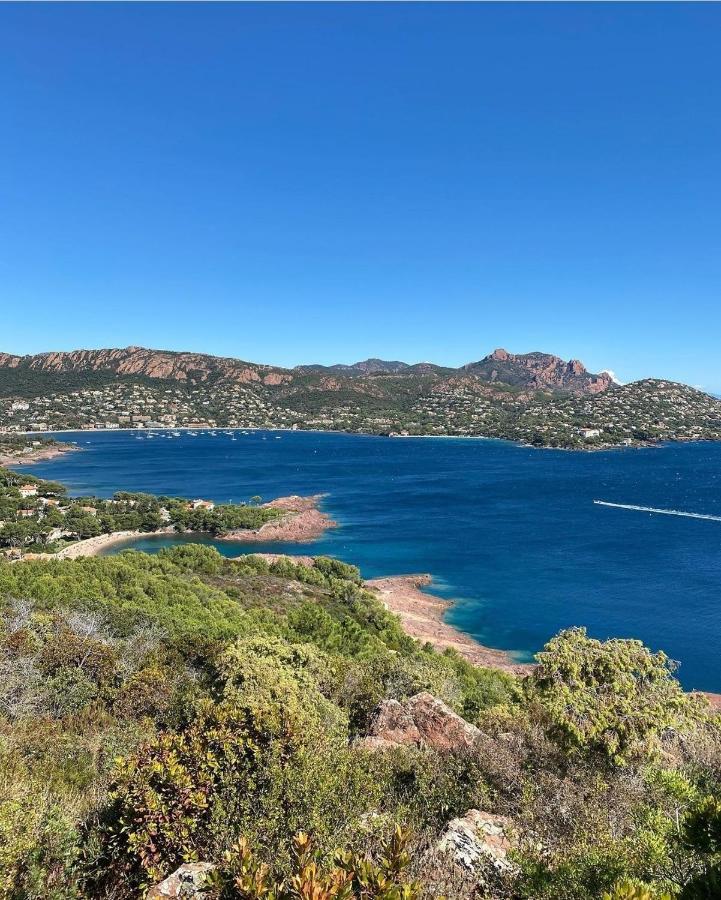 Cannes - Appartement Cosy Et Lumineux Exteriör bild